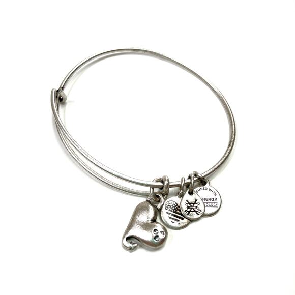 Alex & Ani Silver Cupid's Heart Bangle Charm Bracelet - Picture 1 of 3